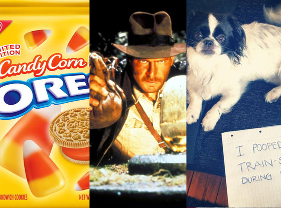 Candy-corn flavored Oreos, Raiders of the Lost Ark, Dog-shaming Candy-corn flavored Oreos, Raiders of the Lost Ark, Dog-shaming